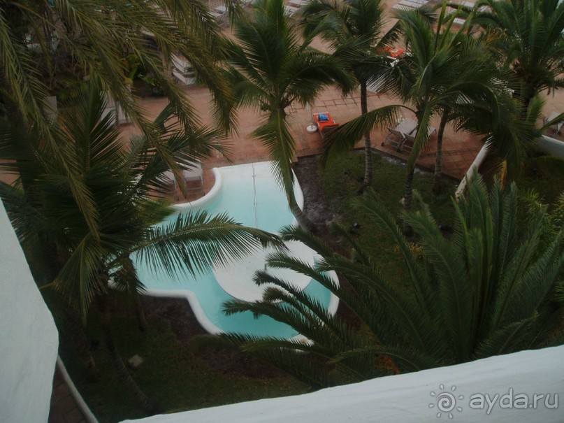 фото Arena Bianca