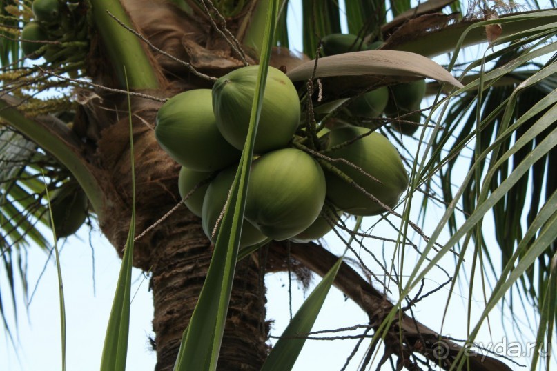 фото Hill Fresco Pattaya