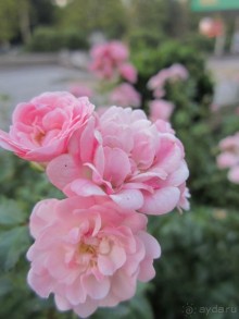 В Модавии так здорово))))