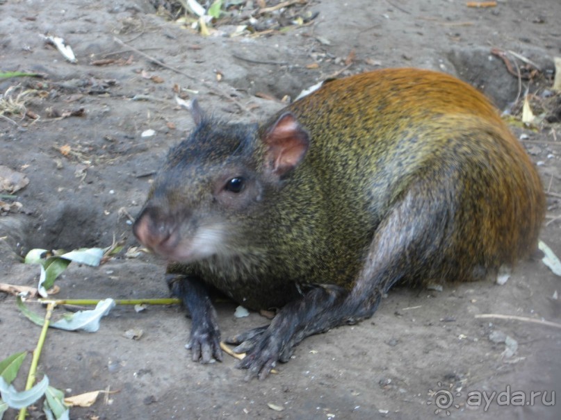 В Модавии так здорово))))