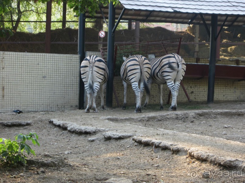 В Модавии так здорово))))