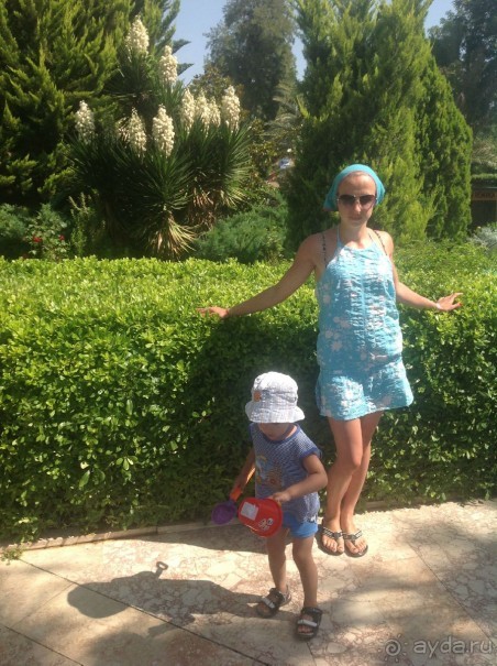 хочу сказать спасибо