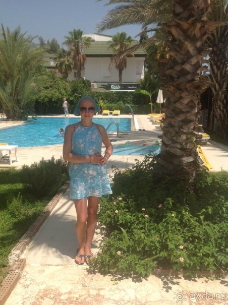 хочу сказать спасибо