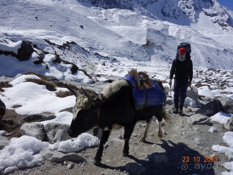 Альбом отзыва "Осенний треккинг в Непале. Эконом-класс."