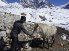Альбом отзыва "Осенний треккинг в Непале. Эконом-класс."