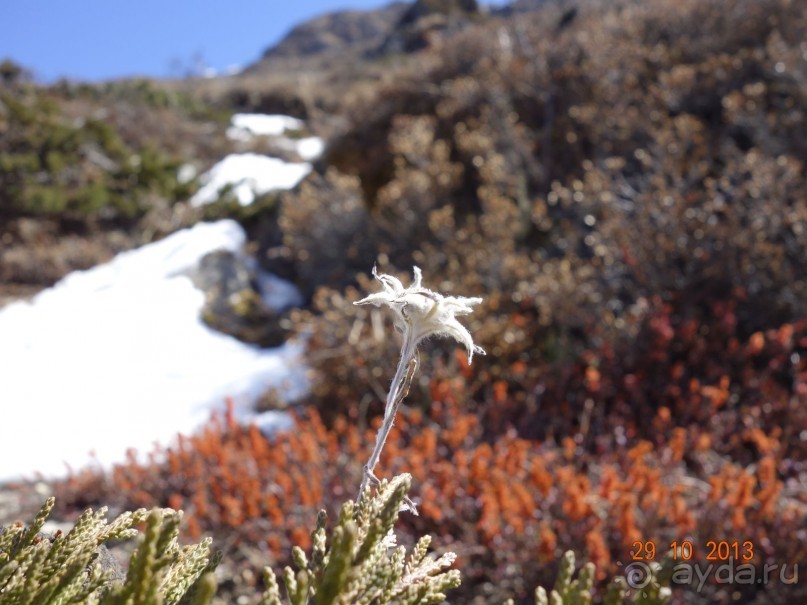 Альбом отзыва "Осенний треккинг в Непале. Эконом-класс."