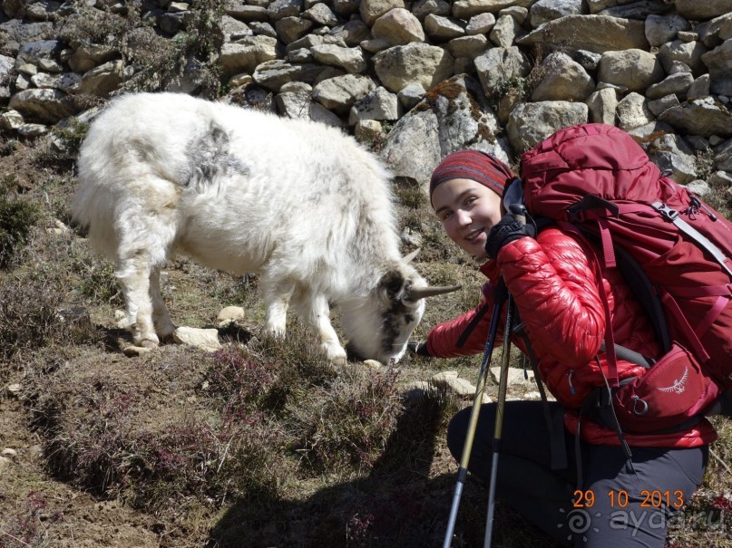 Осенний треккинг в Непале. Эконом-класс.