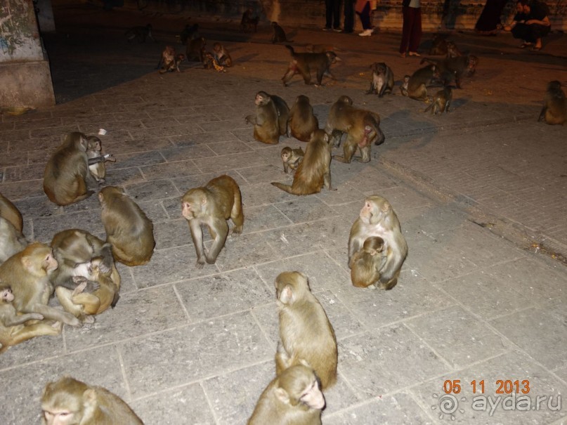 Осенний треккинг в Непале. Эконом-класс.