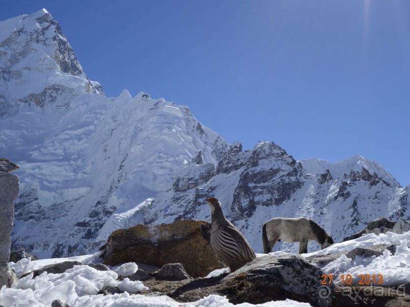 Осенний треккинг в Непале. Эконом-класс.
