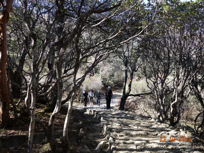 Осенний треккинг в Непале. Эконом-класс.