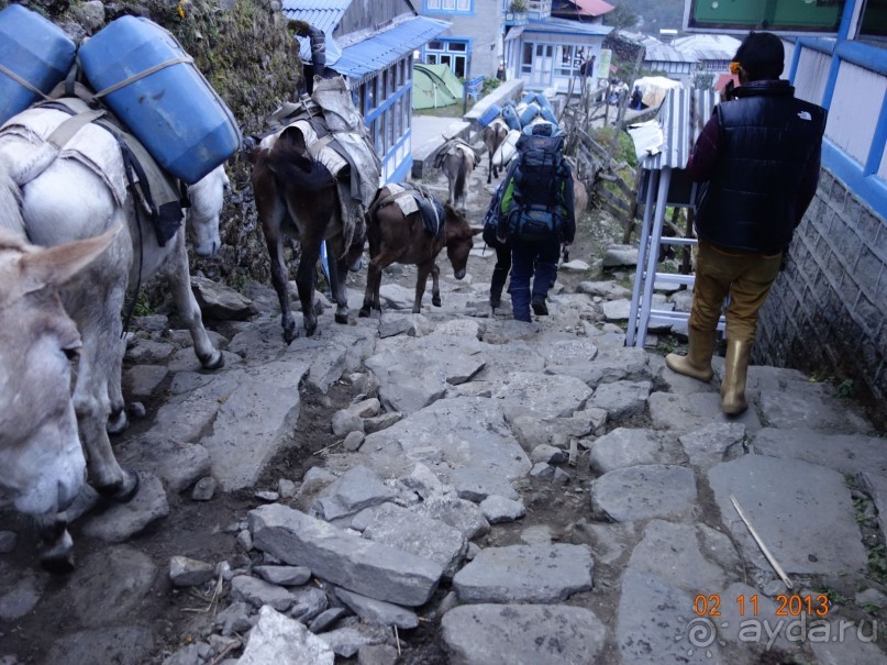 Осенний треккинг в Непале. Эконом-класс.