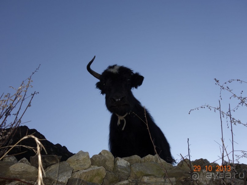 Осенний треккинг в Непале. Эконом-класс.