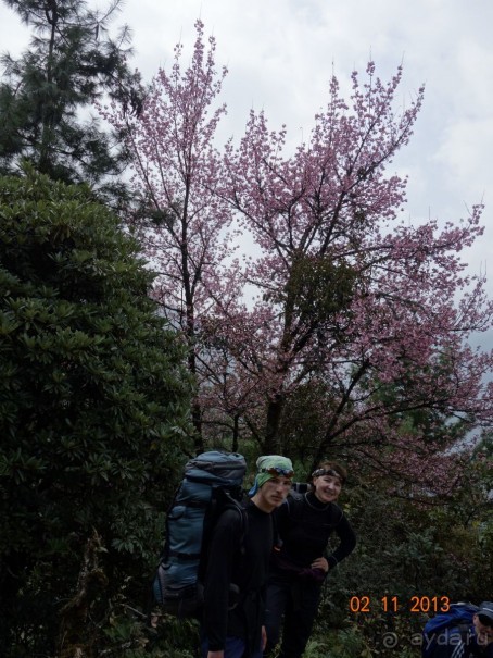 Осенний треккинг в Непале. Эконом-класс.