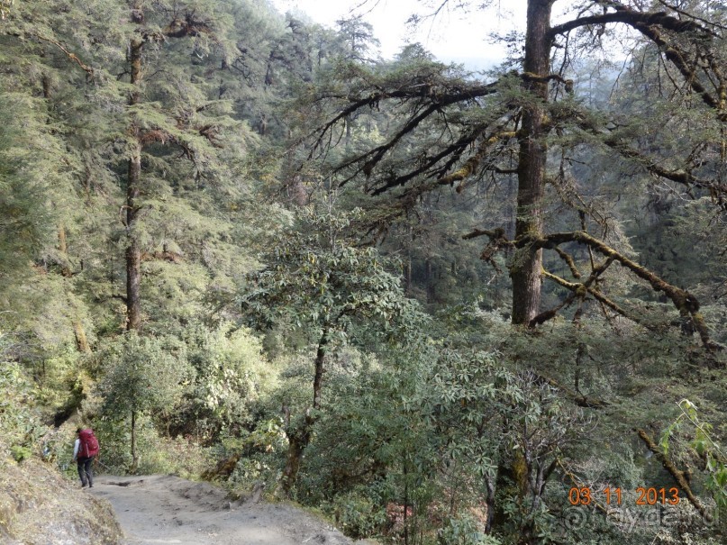 Осенний треккинг в Непале. Эконом-класс.