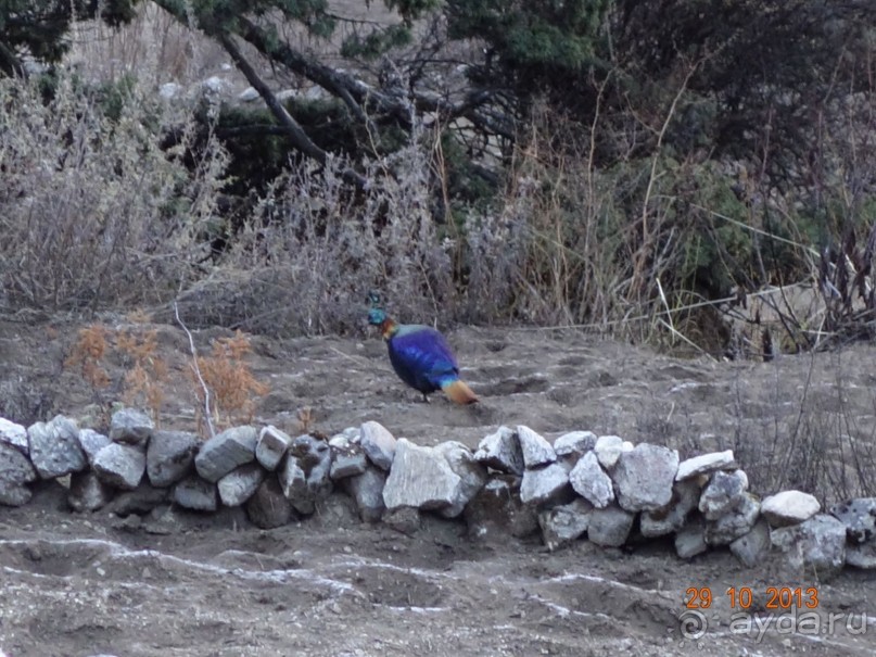 Осенний треккинг в Непале. Эконом-класс.
