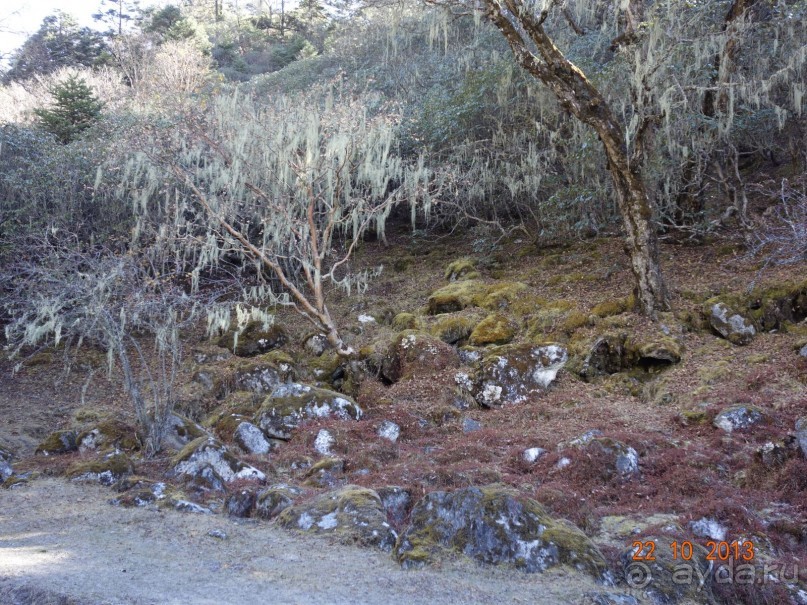 Осенний треккинг в Непале. Эконом-класс.