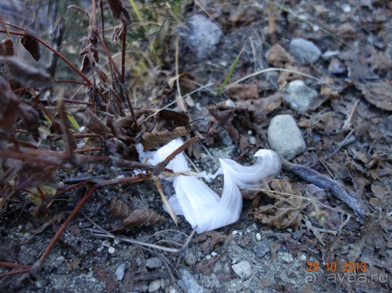 Осенний треккинг в Непале. Эконом-класс.