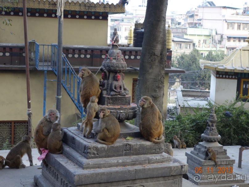 Осенний треккинг в Непале. Эконом-класс.