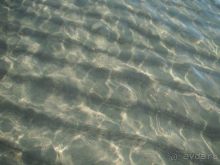 фото Los Alisios