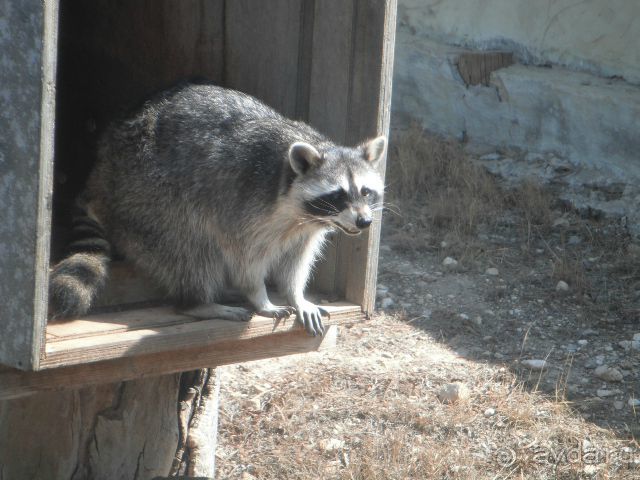 фото Los Alisios