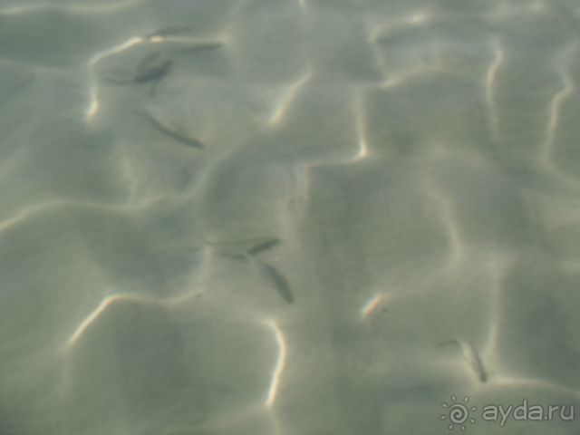 Впечатления разные....