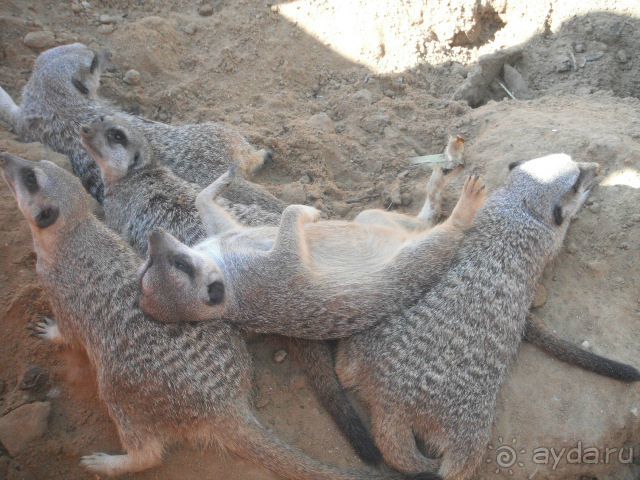 Впечатления разные....