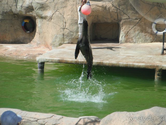 Впечатления разные....