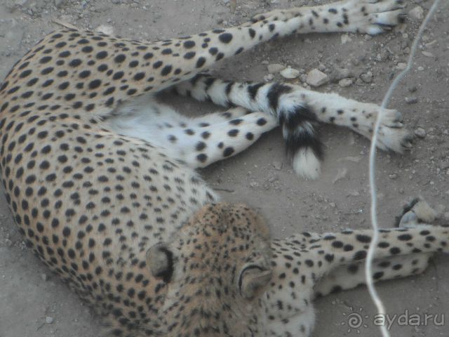 Впечатления разные....