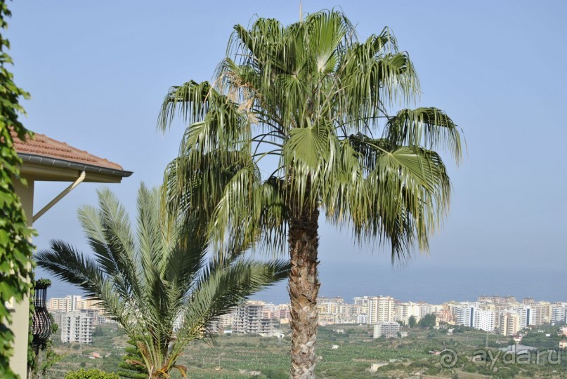 Опять побывали семьей в сказке....