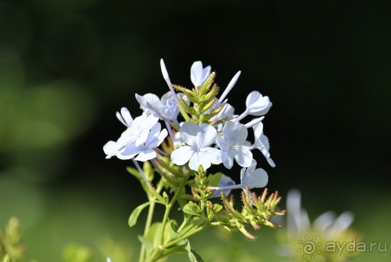 Опять побывали семьей в сказке....