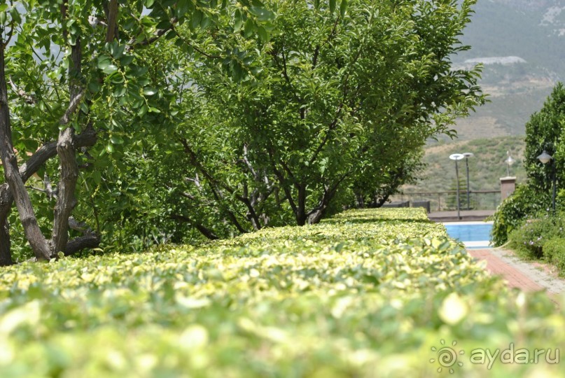 Опять побывали семьей в сказке....