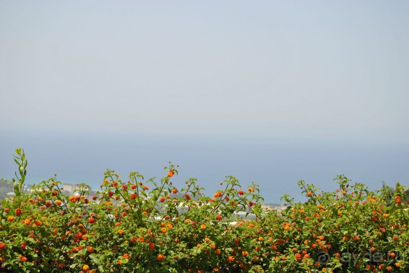 Опять побывали семьей в сказке....