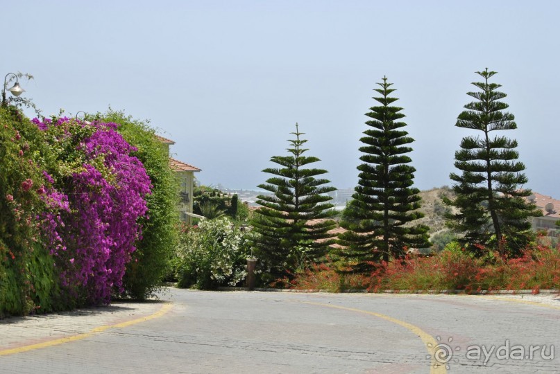 Опять побывали семьей в сказке....