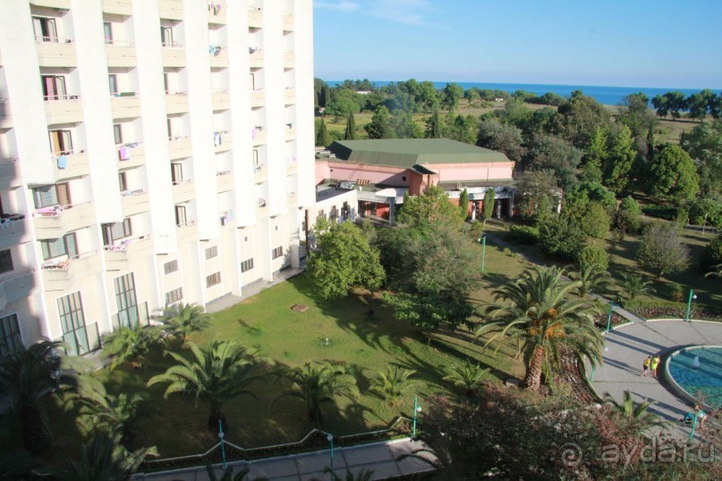 Влюбилась в Абхазию и в Самшитовую рощу!