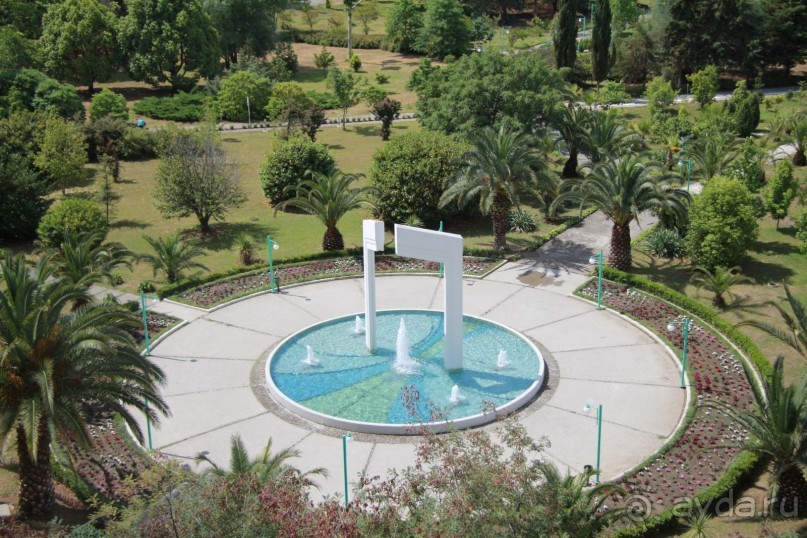 Влюбилась в Абхазию и в Самшитовую рощу!