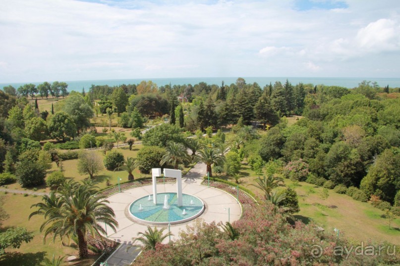 Влюбилась в Абхазию и в Самшитовую рощу!