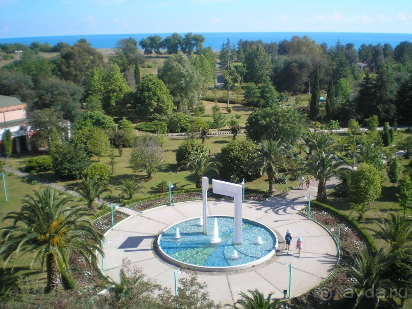 Влюбилась в Абхазию и в Самшитовую рощу!