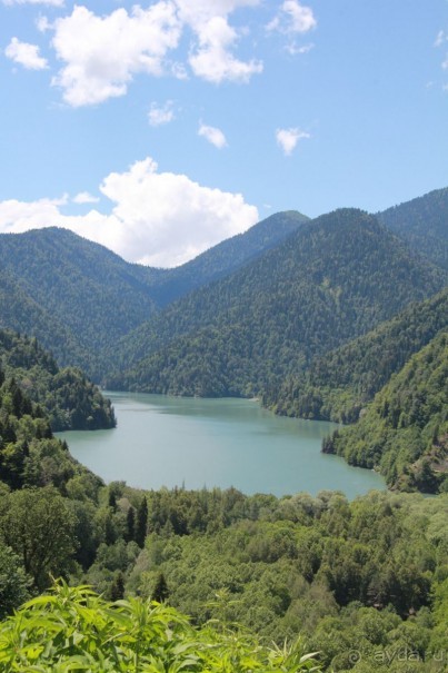 Влюбилась в Абхазию и в Самшитовую рощу!