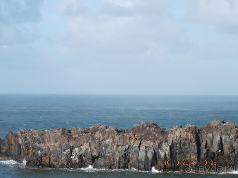 Моя Мадейра 2014