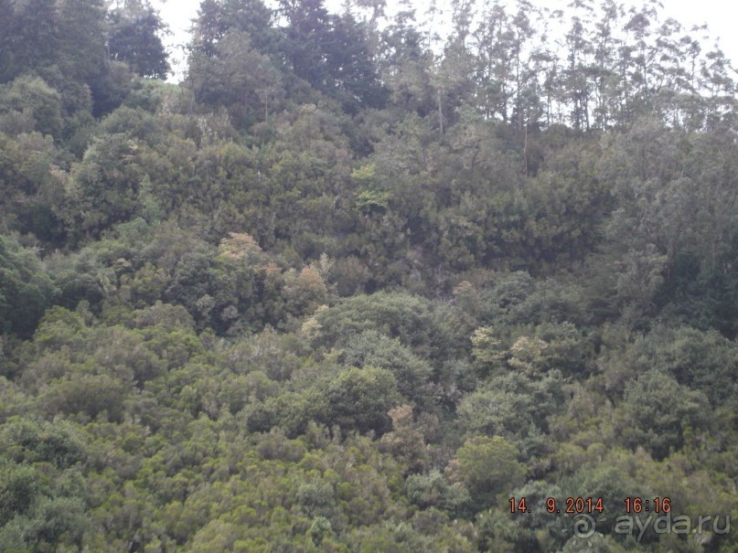 Моя Мадейра 2014