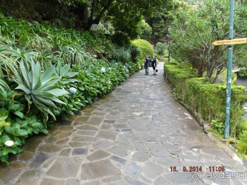 Моя Мадейра 2014