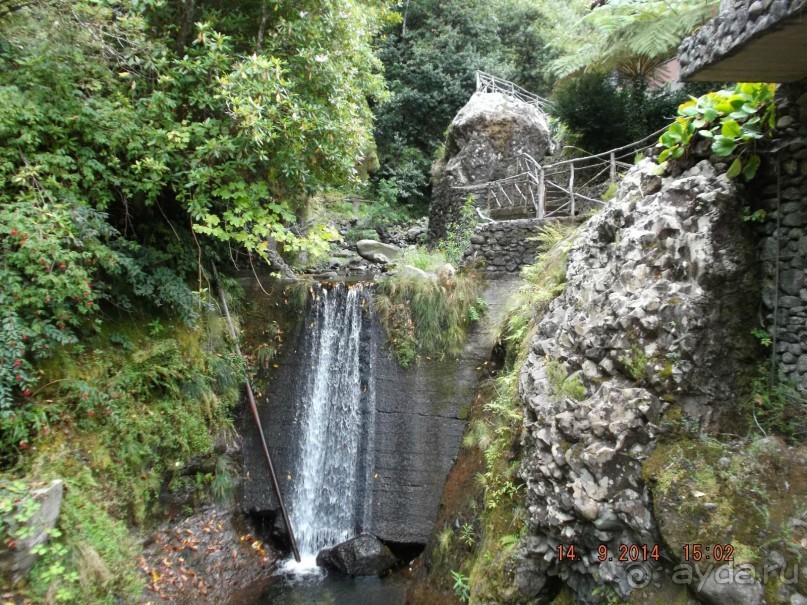 Моя Мадейра 2014