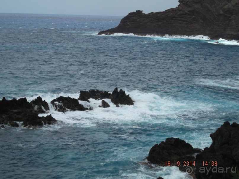 Моя Мадейра 2014
