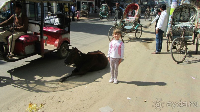 Альбом отзыва "Мои впечатления от посещения Бангладеш"