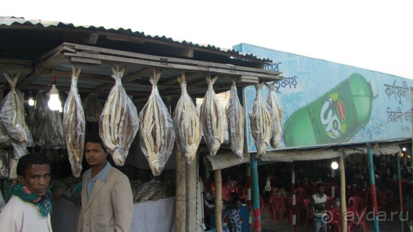 Альбом отзыва "Мои впечатления от посещения Бангладеш"