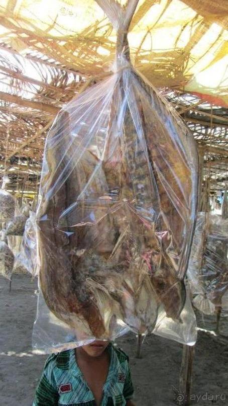 Альбом отзыва "Путешествие на остров Святого Мартина"