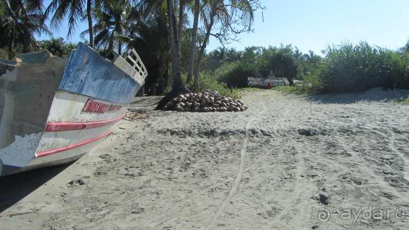 Альбом отзыва "Путешествие на остров Святого Мартина"