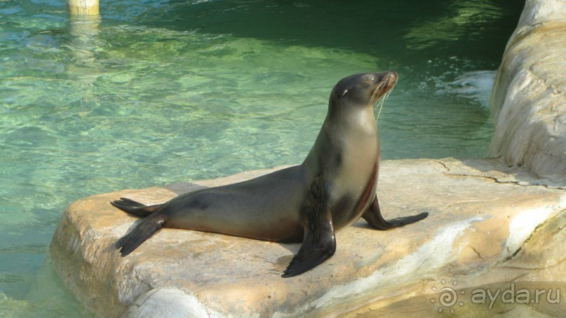 Мои впечатления о посещении зоопарка Friguia в Тунисе