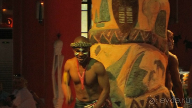 Мои впечатления о посещении зоопарка Friguia в Тунисе