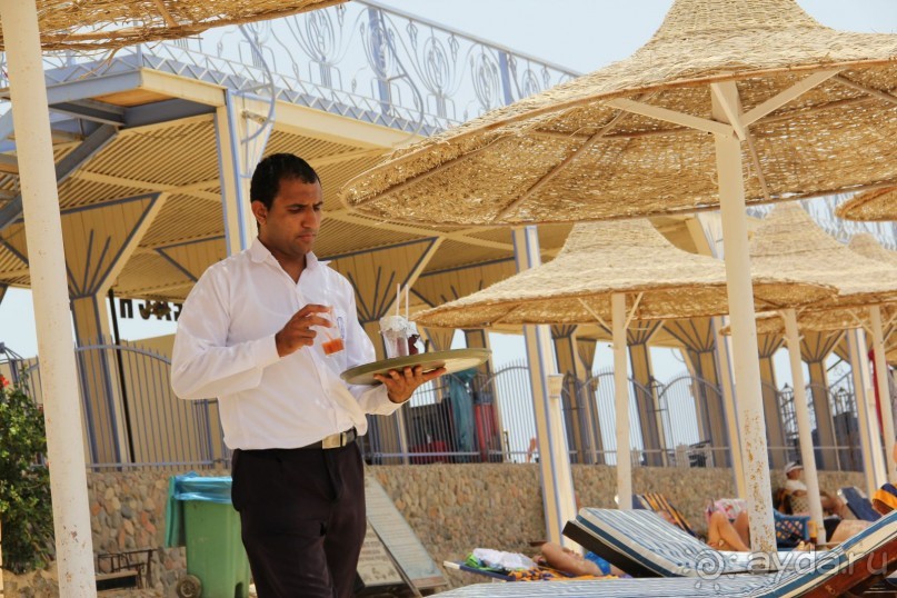 фото Jardin Dartemis